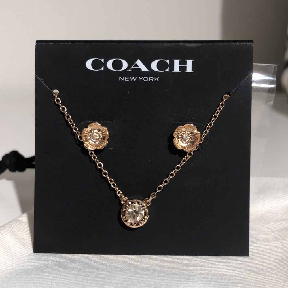 Coach necklace and earrings